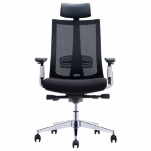 ERGONOMIC PRO CHAIR