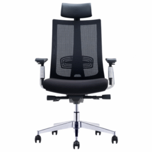ERGONOMIC PRO CHAIR