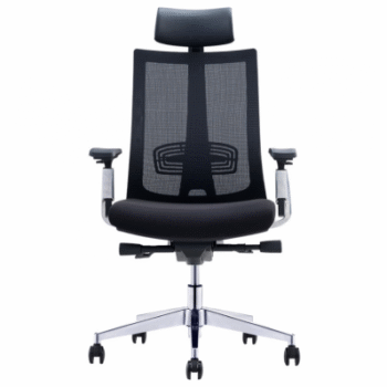 ERGONOMIC PRO CHAIR