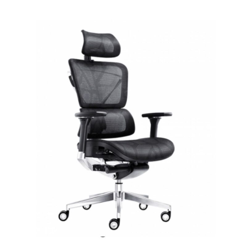GHẾ ERGONOMIC E6