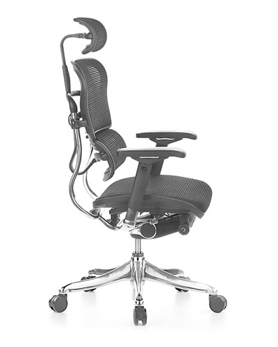 Ghế văn phòng Ergohuman Elite Mesh Nhìn từ bên
