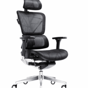 GHẾ ERGONOMIC E6