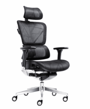 GHẾ ERGONOMIC E6
