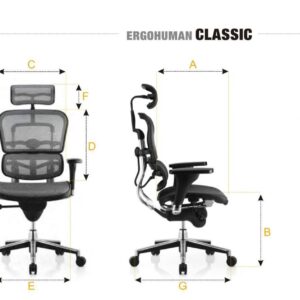 GHẾ ERGOHUMAN LUXURY